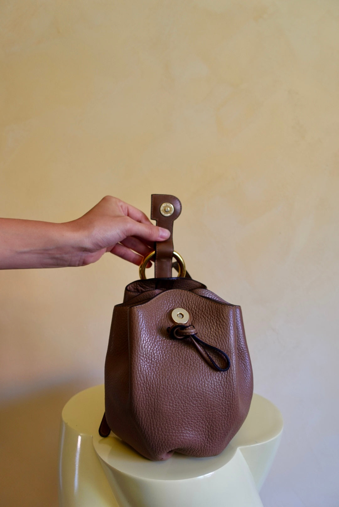Rose des Vents PM