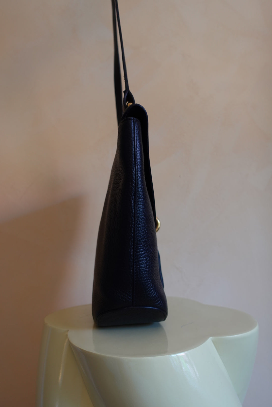 Mimosa